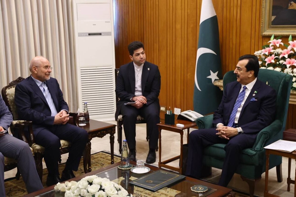 رئیس مجلس شورای اسلامی در ادامه سفر خود به اسلام‌آباد، با کفیل ریاست‌جمهوری پاکستان دیدار کرد.