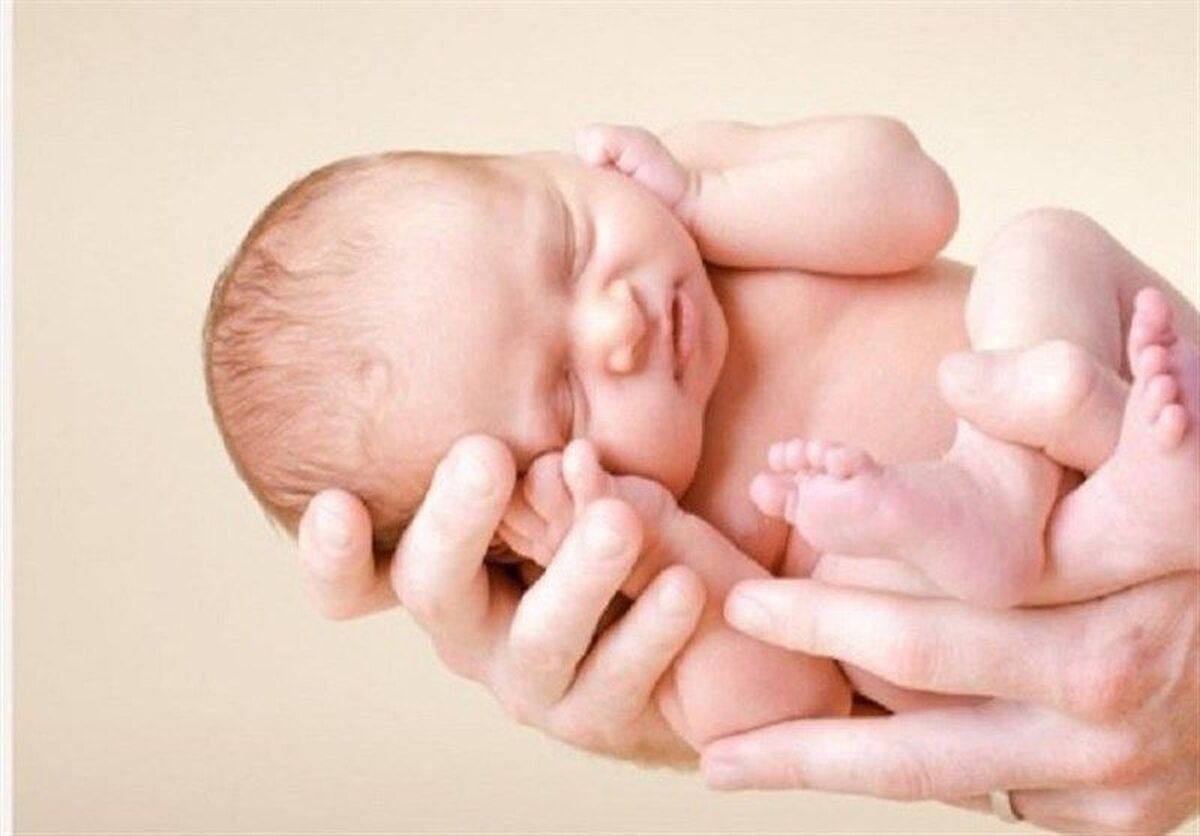 عضو هیأت علمی دانشکده علوم و فناوری‌های نوین پزشکی دانشگاه علوم پزشکی شیراز درباره روش فریز تخمک گفت: این اقدام یک راهکار مؤثر برای حفظ باروری زنان در شرایطی است که فرد به دلایل مختلف از جمله ابتلا به سرطان، بیماری‌های خودایمنی، نارسایی تخمدان یا دلایل اجتماعی امکان باردار شدن ندارد.