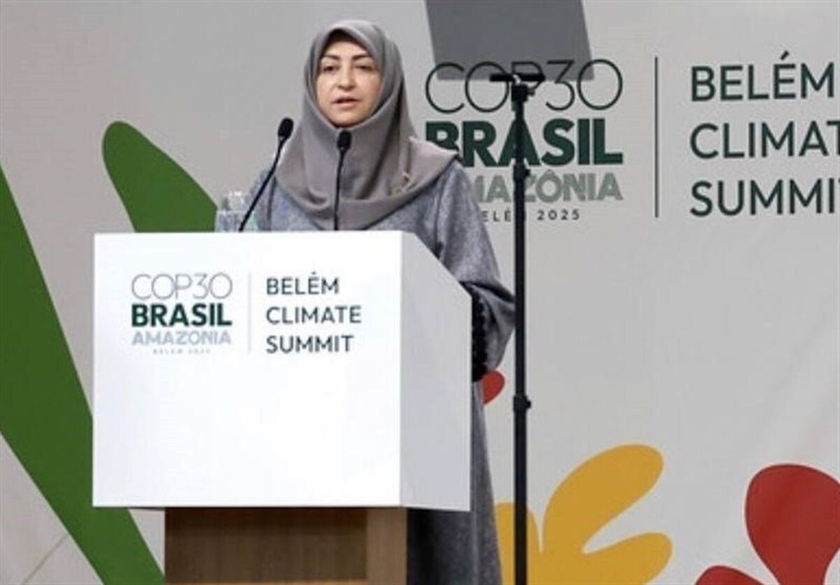 معاون توسعه مدیریت، حقوقی و امور مجلس سازمان حفاظت محیط زیست درباره نامه منتشرشده از بودجه درخواستی برای حضور ایران در اجلاس «کاپ ۳۰» در برزیل گفت: رقم اعلام‌شده مربوط به برآورد اولیه هزینه‌های سفر بوده و حضور هیئت ایرانی با حداقل نفرات و هزینه ممکن انجام شده است.