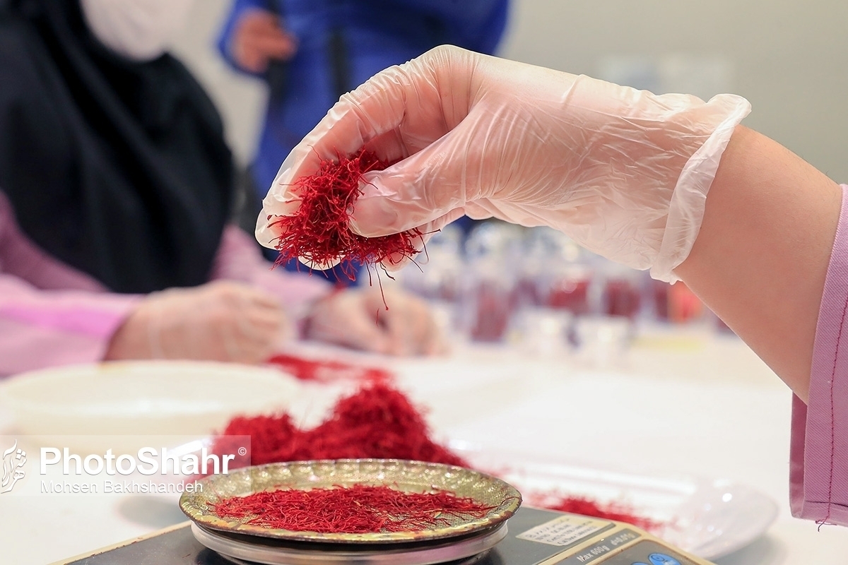 ویدئو | فقط ۱۵ درصد زعفران با نام و نشان ایران صادر می‌شود