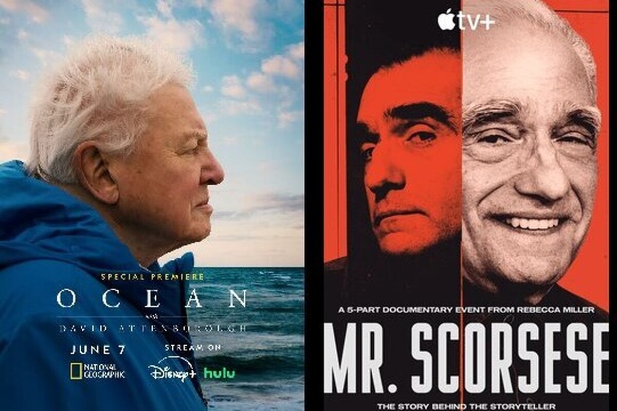 مستند «همسایه بی‌نقص» در دهمین دوره جوایز سالانه مستند انتخاب منتقدان در صدر برندگان قرار گرفت و پنج جایزه از جمله بهترین مستند بلند، بهترین کارگردانی برای گیتا گاندبیر، بهترین تدوین برای وری‌دیانا لیبرمن، بهترین مستند آرشیوی و بهترین مستند جنایی را از آن خود کرد.