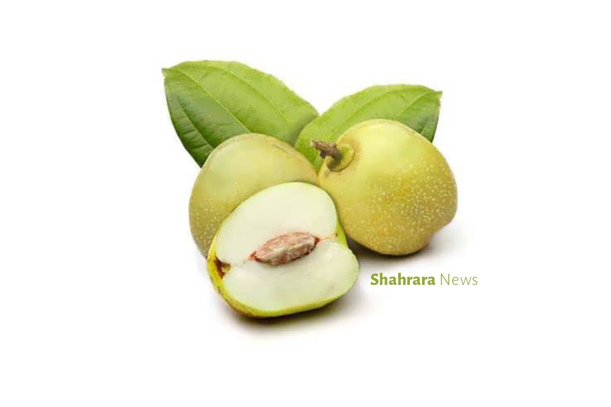دانستنی‌هایی برای کودکان | دو میوه کمتر شناخته شده
