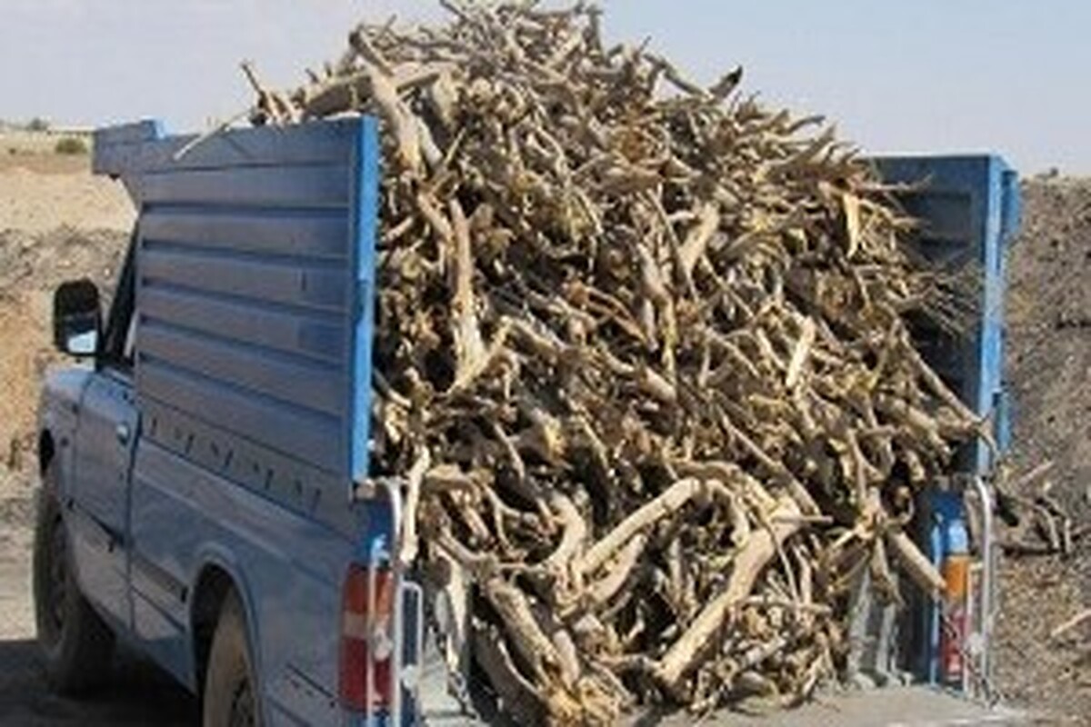 رئیس اداره منابع طبیعی و آبخیزداری گناباد از کشف هشت تن چوب جنگلی «تاغ» قاچاق در این شهرستان خبر داد.