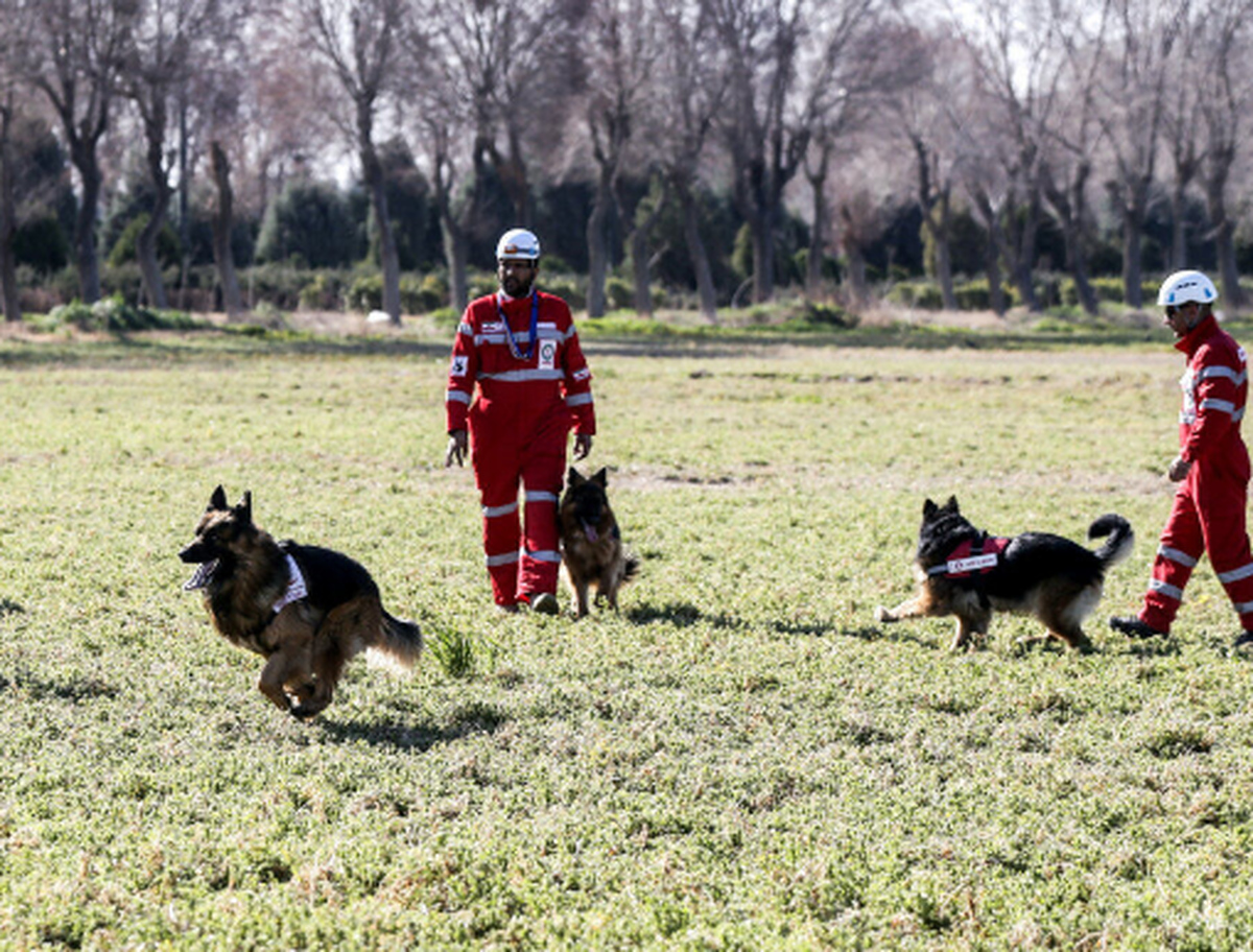 در شب گذشته -پنجشنبه- ۱۲ گردشگر در دل جنگل‌های صعب‌العبور فیلبند مازندران مفقود شدند و عملیات نجات آنها در تاریکی و شرایط سخت منطقه آغاز شد.