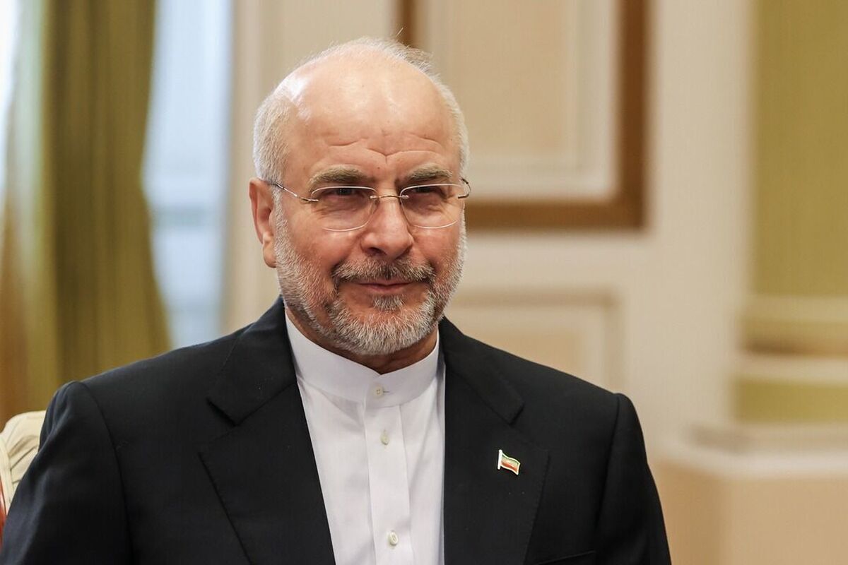 رئیس مجلس شورای اسلامی: از تصمیم دولت برای واگذاری اختیارات به استان‌ها حمایت می‌کنم