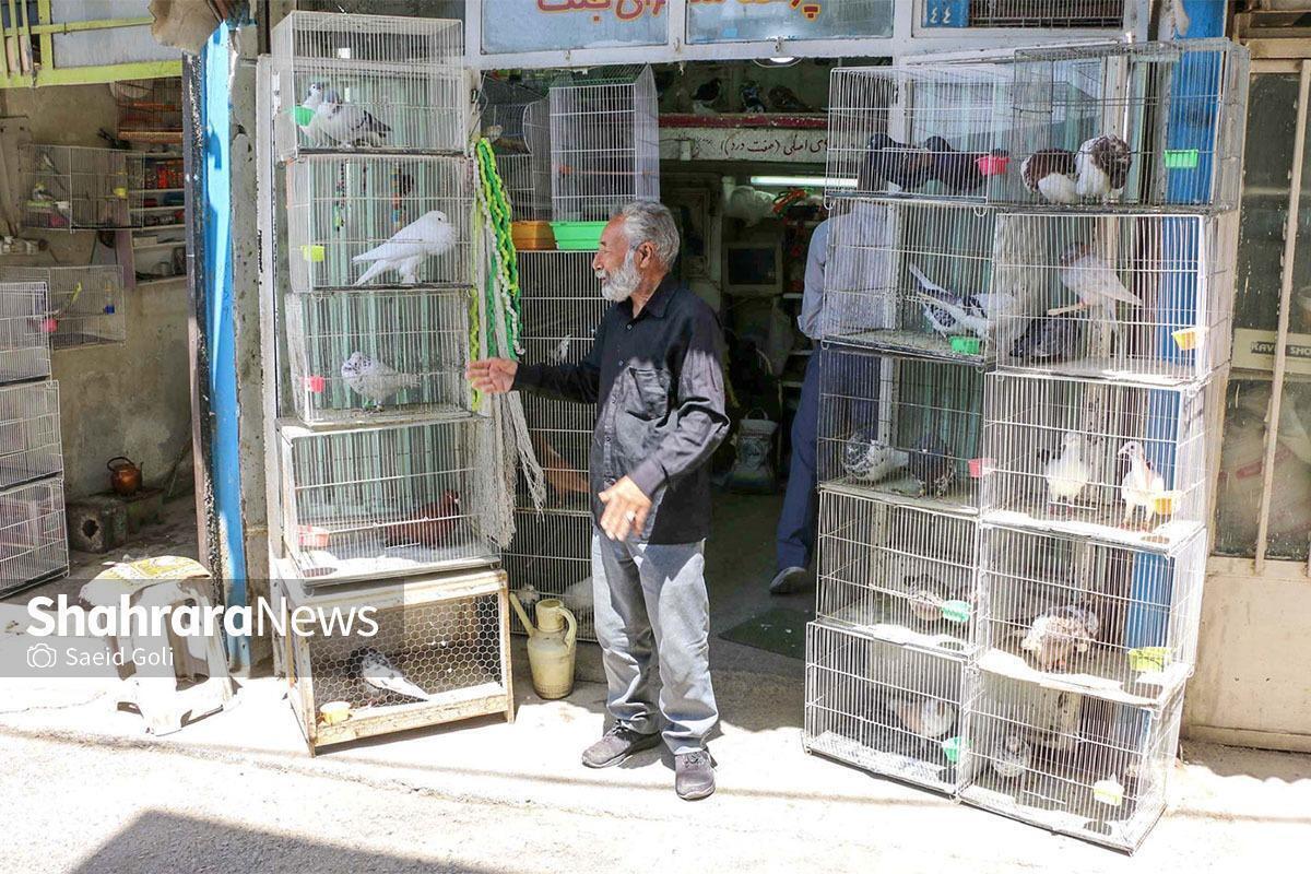 رئیس کمیسیون خدمات شهری و محیط زیست شورای اسلامی شهر مشهد مقدس گفت: بازار پرنده‌فروشان در خیابان شهید رئیسی به‌دلیل قرار گرفتن در مسیر پیاده‌روی زائران حضرت امام‌رضا(ع)، از نظر منظر شهری مناسب نبود و وجود پراکندگی و بی‌نظمی در آن منطقه، شایسته شهر مشهد مقدس نیست.