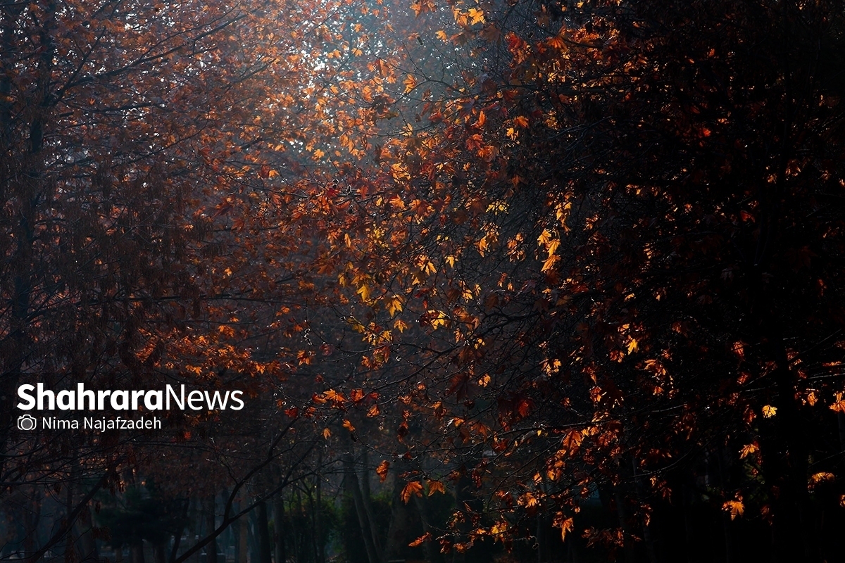 کارشناس اداره هواشناسی خراسان‌رضوی گفت: از روز جمعه تا یکشنبه، افزایش ابر در سطح استان پیش‌بینی می‌شود، اما بارشی همراه ندارد.