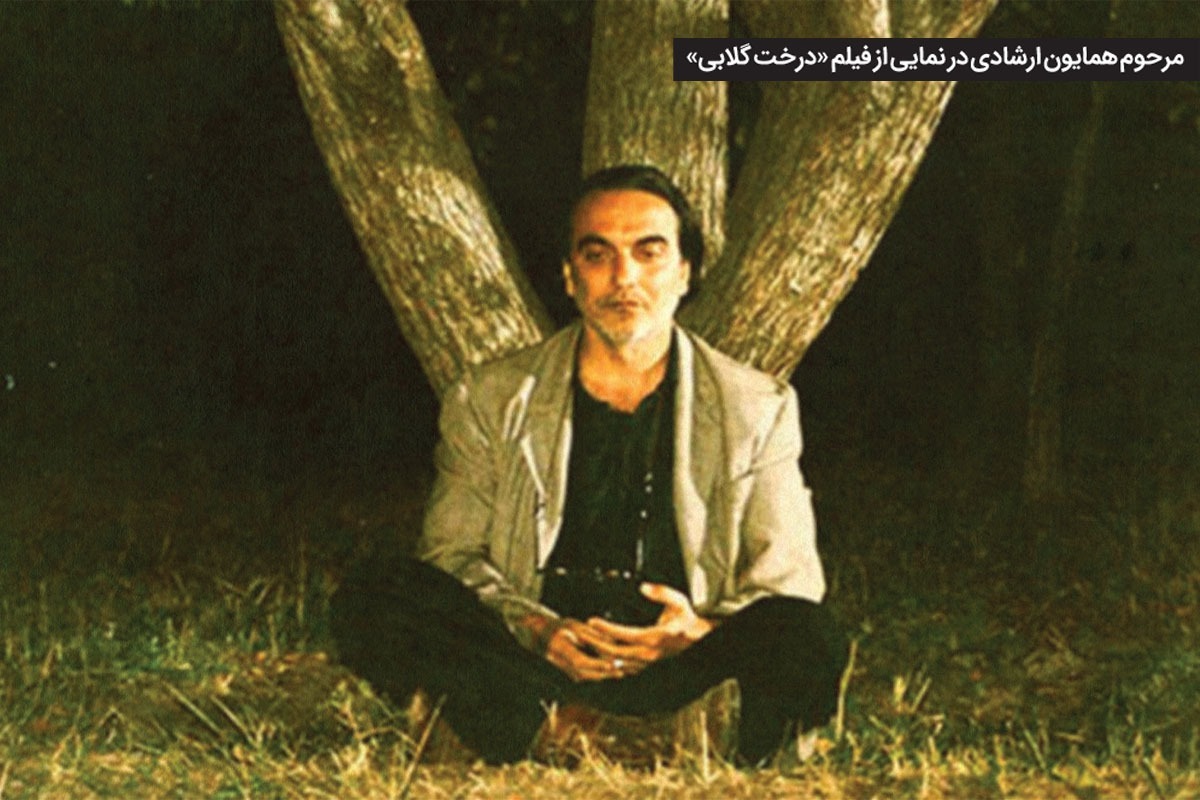 مسیر حرفه‌ای همایون ارشادی، بازیگر تازه درگذشته سینمای ایران، پیوند محکمی با کتاب و ادبیات داشته است.