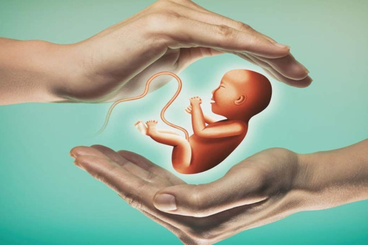 ۳ هزار و ۸۰۰ پرونده درمان ناباروری در خراسان رضوی هزینه دریافت کردند