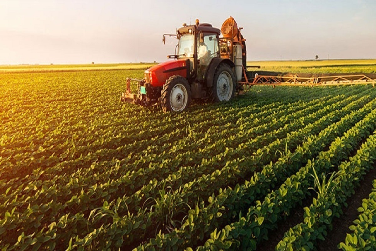 رئیس سازمان جهاد کشاورزی خراسان رضوی گفت: سطح زیر کشت پاییزه در استان به دنبال وضعیت مطلوب تامین نهاده‌های کشاورزی، تاکنون پیشرفت ۵۵ درصدی داشته است.