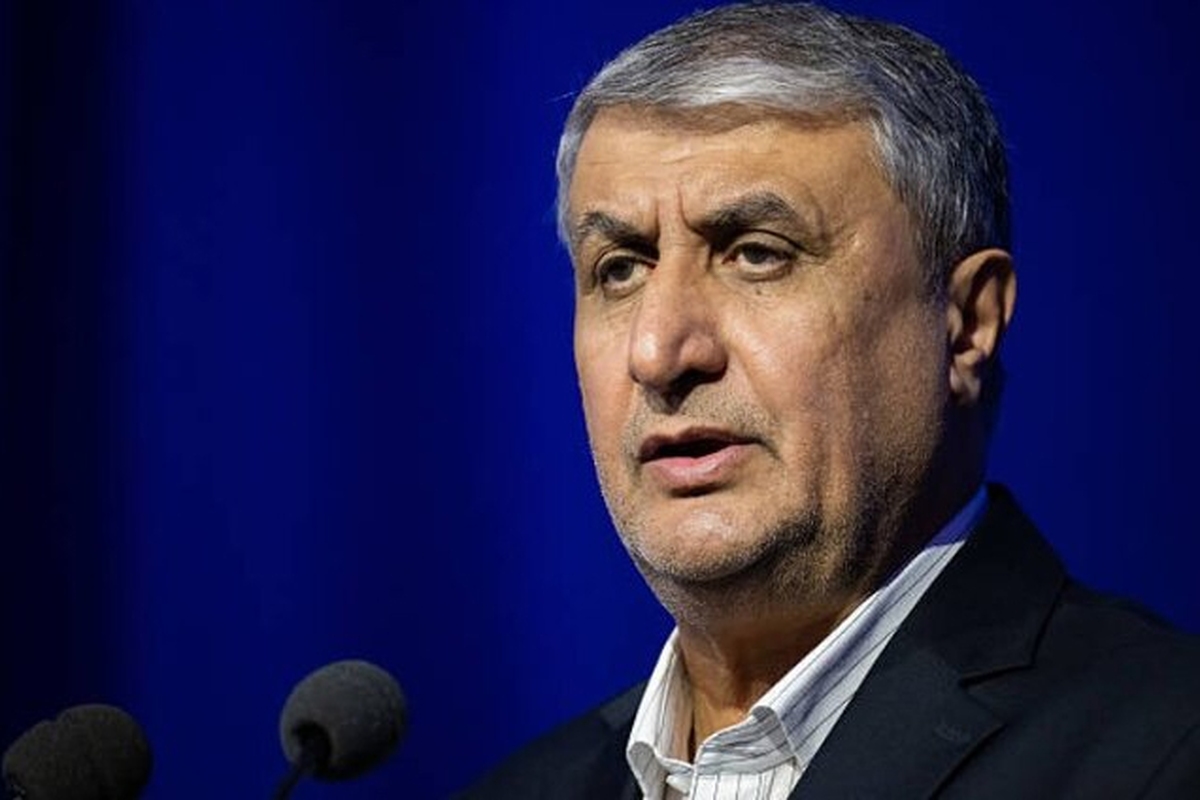 رئیس سازمان انرژی اتمی تأکید کرد: حملات صورت‌گرفته علیه تأسیسات هسته‌ای ایران، در تاریخ بی‌سابقه بود.