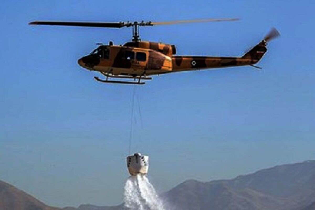 فرماندار چالوس با اشاره به وقوع آتش سوزی در عرصه های جنگلی روستای الیت مرزن آباد، گفت: برای جلوگیری از گسترش دامنه نفوذ آتش، ا۶ گروه پیاده به همراه تجهیزات کامل به محل حادثه اعزام شدند.