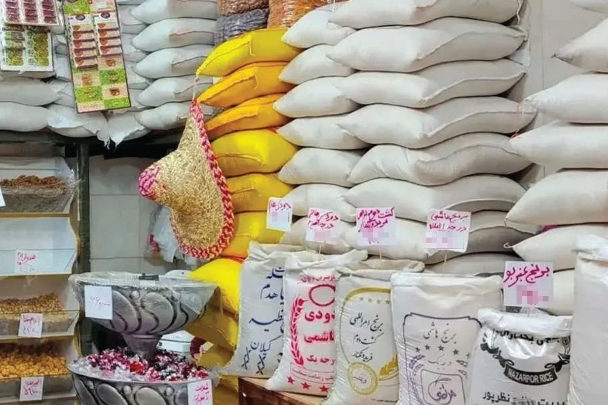 اشتباه آماری، دلیل اصلی افزایش قیمت برنج