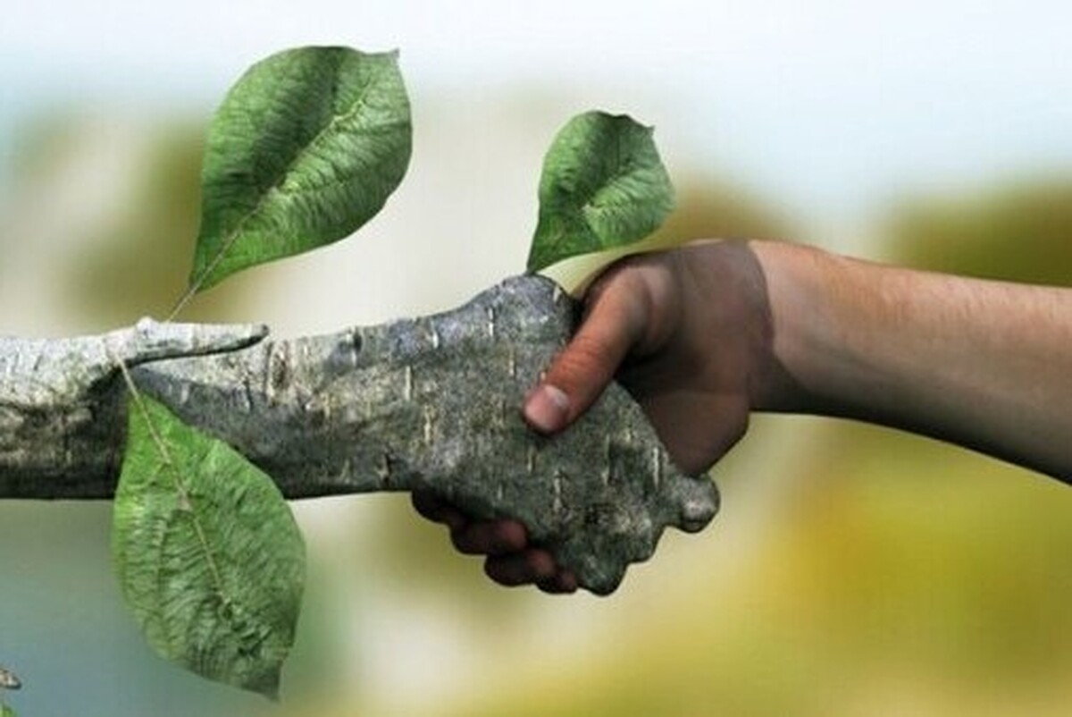 رئیس سازمان محیط زیست گفت: رویکرد سازمان حفاظت محیط زیست این است که دانشگاه‌ها در حوزه مسئولیت‌پذیری در قبال محیط زیست پیش‌قدم باشند.