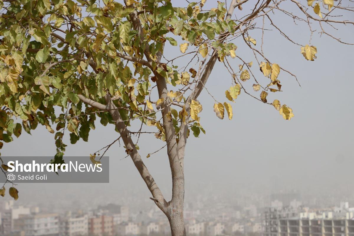 سازمان هواشناسی کشور نسبت به آلودگی هوای هفت کلانشهر تا دوشنبه هفته آینده (۳ آذرماه) هشدار داد.