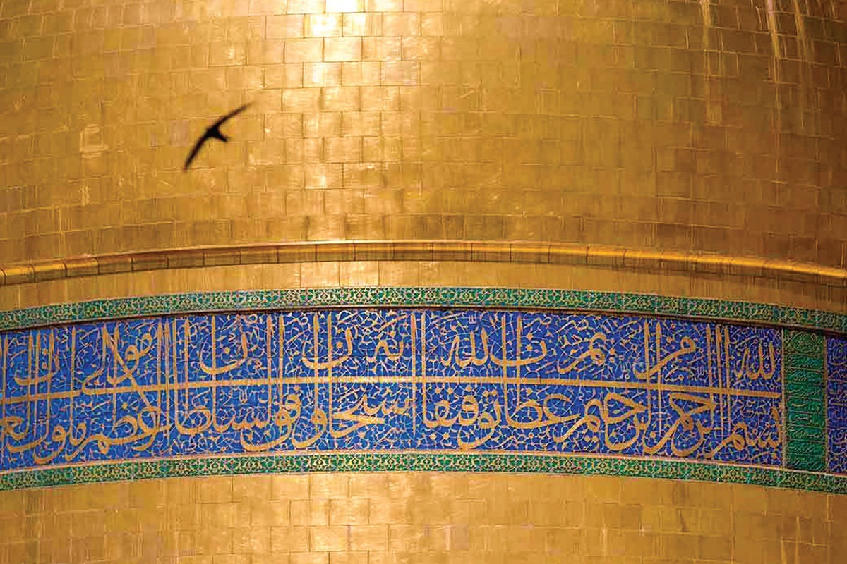 از خواب که بیدار شدم از عطسه‌های پی‌در‌پی‌ام فهمیدم که بله من هم سرما خورده‌ام. دلم می‌خواست این ایام فاطمیه بیشتر روضه بروم، راه حرم را بگیرم و از چایخانه‌ها چای بگیرم و به نیت شفا چای بنوشم.