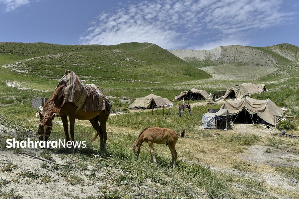 مدیر کل امور عشایر خراسان رضوی گفت: تسهیلات کم‌بهره بلندمدت به مبلغ ۶۴۵ میلیارد ریال به‌صورت قرض‌الحسنه برای عشایر این استان تصویب شد.