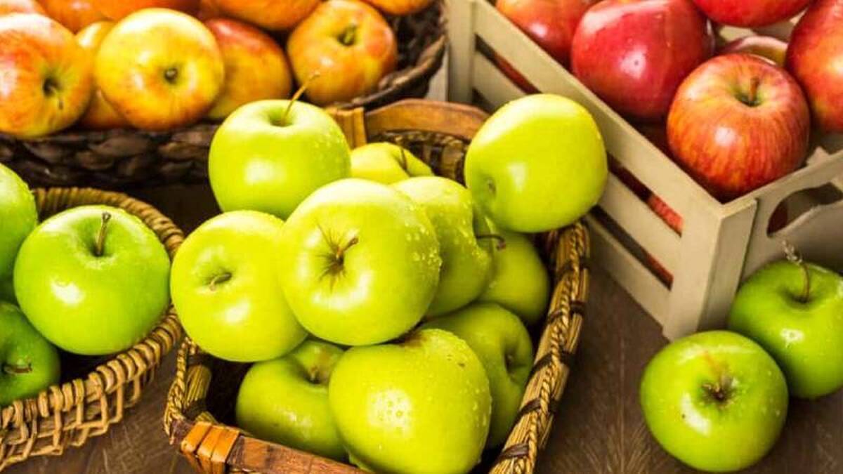 رئیس سازمان جهاد کشاورزی خراسان رضوی اعلام کرد: بر اساس آخرین آمار ملی، استان خراسان رضوی در تولید محصولات باغی، زراعی و دامی جایگاه ممتاز و تعیین‌کننده‌ای در سطح کشور دارد و نقش مهمی در تأمین امنیت غذایی ایران ایفا می‌کند.