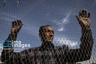 گزارش تصویری | جمعه‌های قفسی