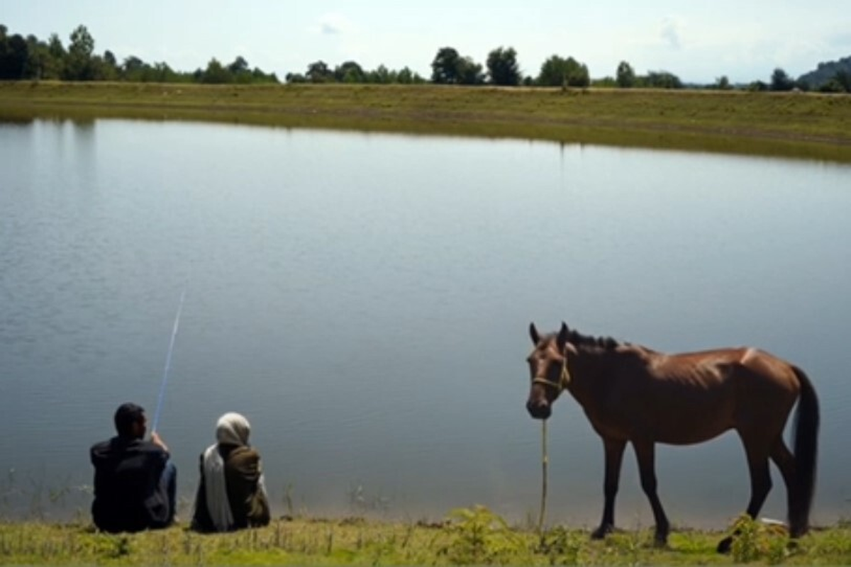 فیلم سینمایی «عاشق پاییز» نخستین تجربه کارگردانی میثم بیدقی به تهیه‌کنندگی سحر صباغ سرشت از نیمه آبان ماه اکران عمومی خود را آغاز می‌کند.