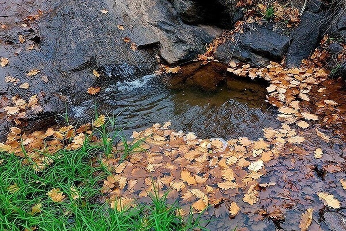 ویدئویی زیبا و دیدنی از پاییز در قره‌داغِ آذربایجان شرقی را مشاهده می‌کنید.