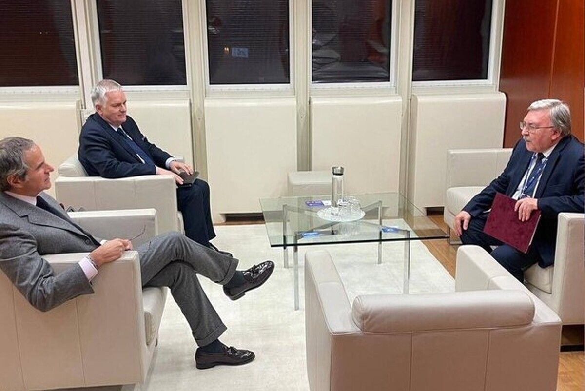 نماینده روسیه در سازمان‌های بین‌المللی در وین از دیدار خود با مدیر کل آژانس بین‌المللی انرژی اتمی به منظور بحث درباره مسائل مربوط به ایران و اوکراین خبر داد.