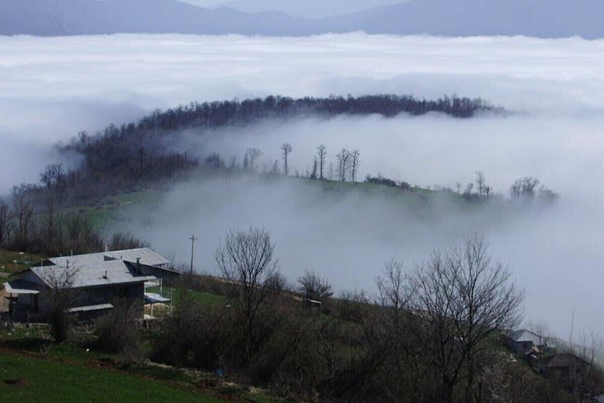 بهره‌گیری از روش‌های نوین جنگل‌داری برای احیای زاگرس