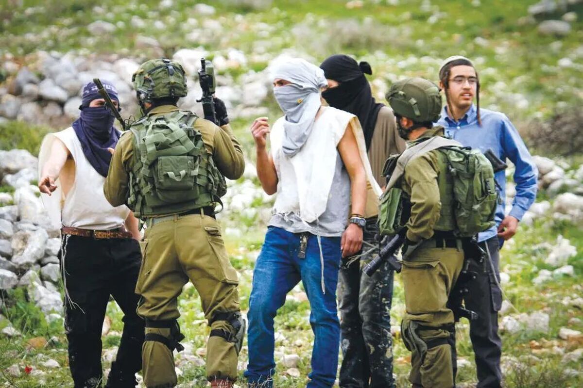 در این روزها که فصل برداشت زیتون در کرانه باختری است و فلسطینیان در حال جمع‌آوری دسترنج یک ساله خود هستند، یهودیان افطراطی به فلسطینیان حمله می کنند و ارتش اسرائیل با سکوت دست آنها را باز گذاشته است.