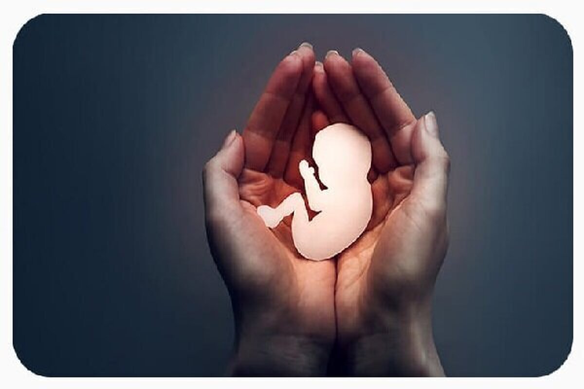 عضو هیئت علمی دانشگاه علوم پزشکی شهید بهشتی، با اشاره به اینکه خطر سقط جنین در زنان بالای ۳۵ سال بیشتر است، گفت: طبق تحقیقات و مشاهدات بالینی، سن بالا خطر سقط جنین را افزایش می‌دهد.