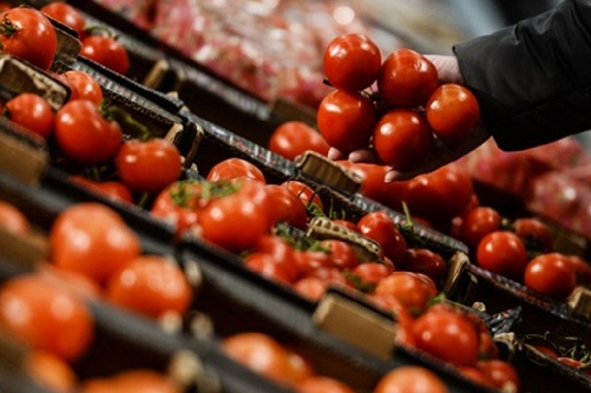 اتحادیه بارفروشان مشهد نرخ عمده‌فروشی میوه و صیفی‌جات در میادین تره‌بار مشهد را اعلام کرد.