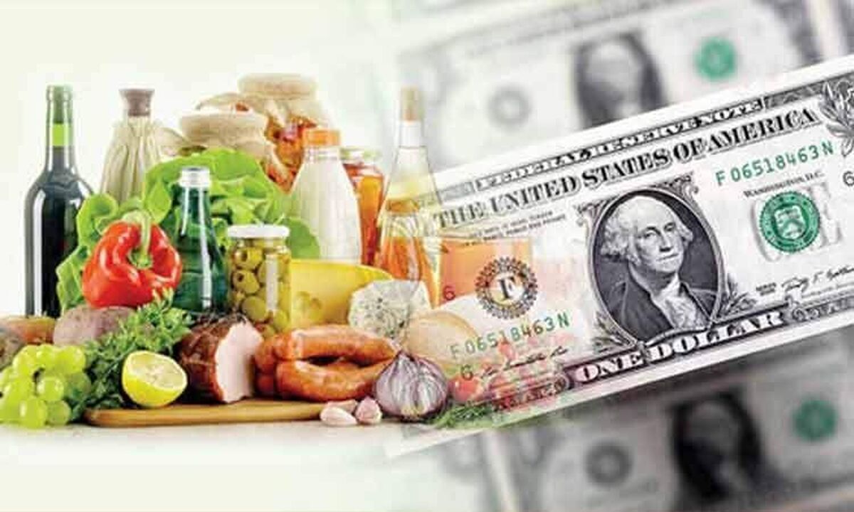 یک مقام بانک مرکزی با تأکید بر نظارت بر زنجیره توزیع به‌جای حذف ارز ترجیحی هشدار داد: حذف ارز ترجیحی، سفره خانوار‌های ایرانی را به‌شدت کوچک و تورم خدمات را تشدید خواهد کرد.