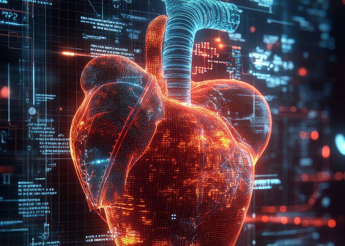 دانشمندان با کالیبره کردن الگوریتم نوعی هوش مصنوعی، گام بزرگی در جهت تشخیص دقیق‌تر خطر ابتلا به کاردیومیوپاتی هیپرتروفیک به عنوان یکی از انواع بیماری قلبی ژنتیکی برداشته‌اند.