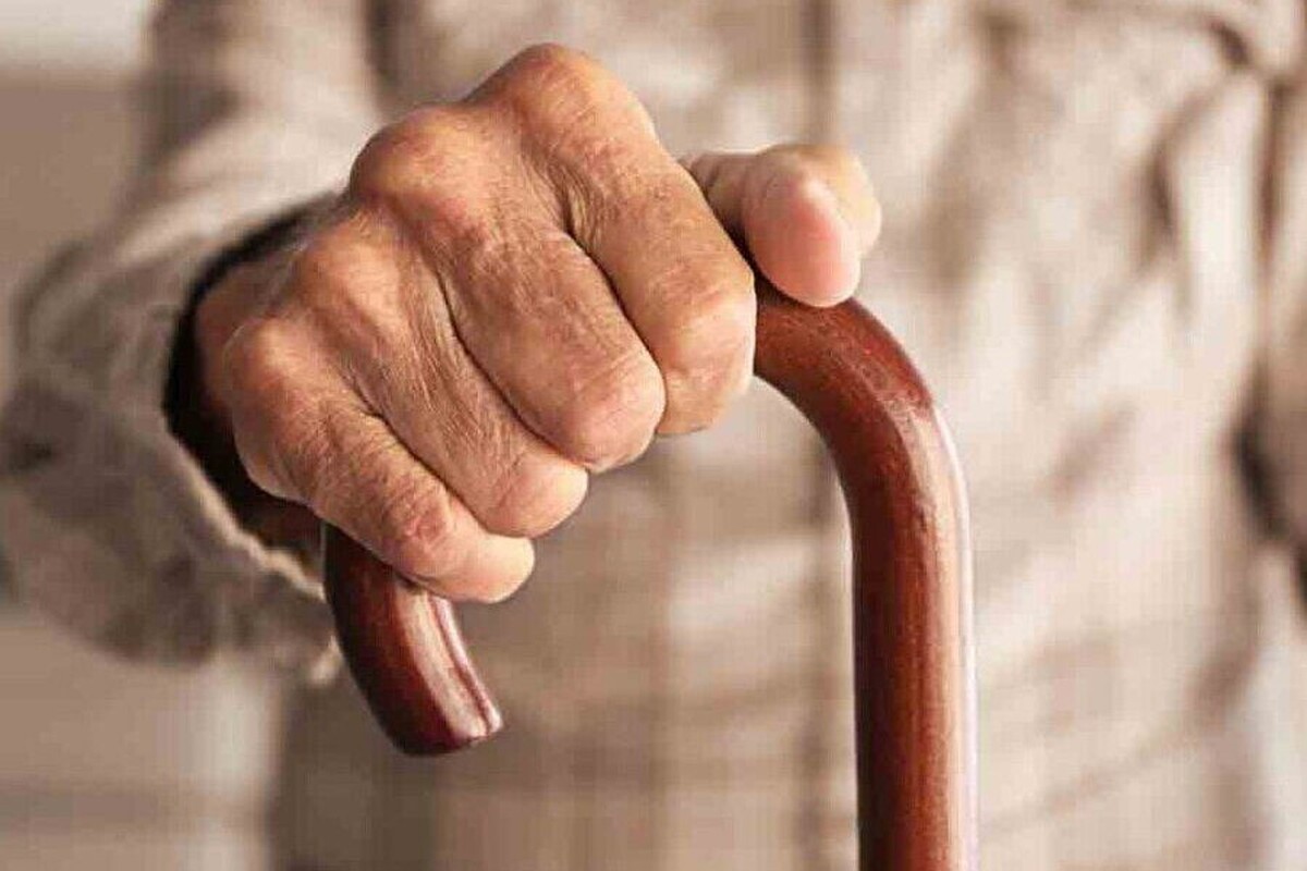 معاون بیمه و خدمات درمانی سازمان بیمه سلامت ایران با بیان اینکه ۳۰ درصد جمعیت ایران طی یک دهه آینده سالمند می‌شوند، گفت: هر سالمند، پنج تا شش برابر یک فرد جوان هزینه درمانی دارد.