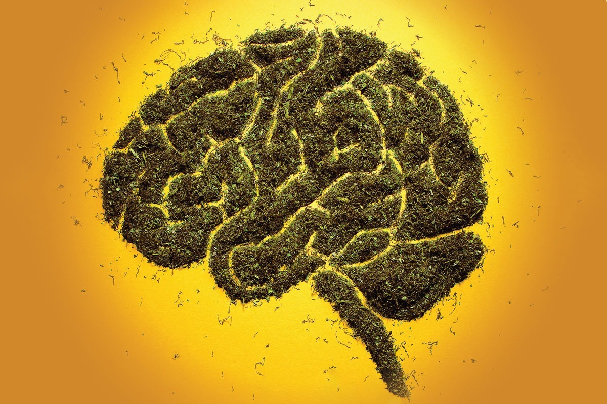 عوارض مصرف گُل در نوجوانان: از بی‌انگیزگی تا آسیب‌های مغزی | زنگ خطری که  جدی گرفته نمی شود