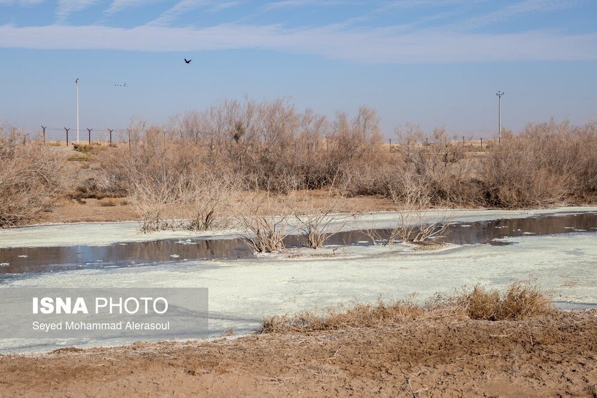 استاندار خراسان رضوی گفت: برطرف‌کردن مشکل کشف‌رود نیاز به نگاه ملی دارد.