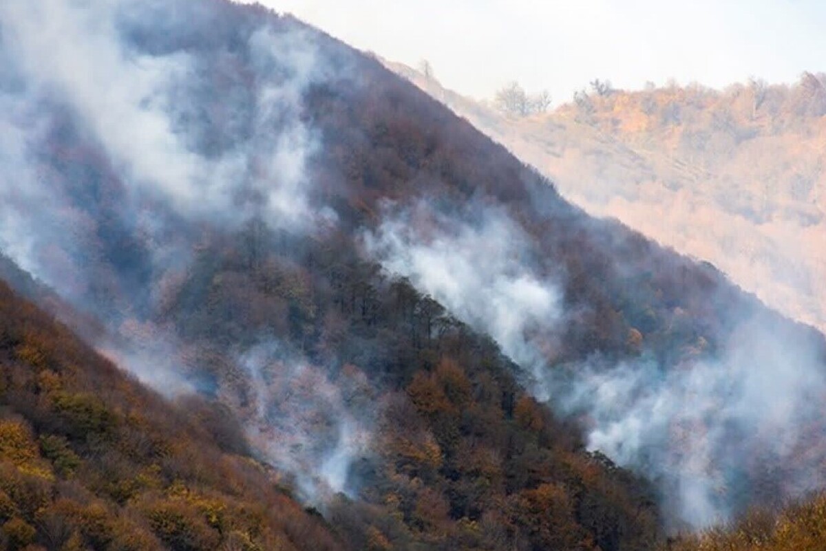 مدیرکل مدیریت بحران استانداری مازندران گفت: آتش سوزی جنگل‌های ساری و نکا به گستره پنج هکتار به طور کامل خاموش شد.