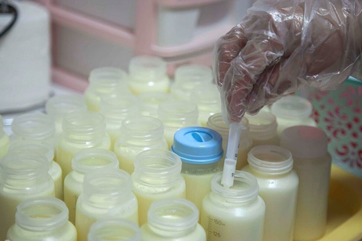 در بیمارستان‌ام‌البنین (س) مشهد، هر روز ظرف‌هایی از شیر مادر به اتاق بانک شیر می‌رسد؛ ظرف‌هایی که پشت هرکدام قصه مادری نشسته است. زنانی که شیر اضافه‌شان را دور نمی‌ریزند؛ آن را نذر نوزادانی می‌کنند که حیاتشان به همین چند قطره گره خورده است.