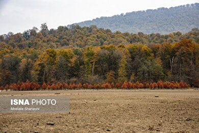 گزارش تصویری | پاییز خشک مازندران