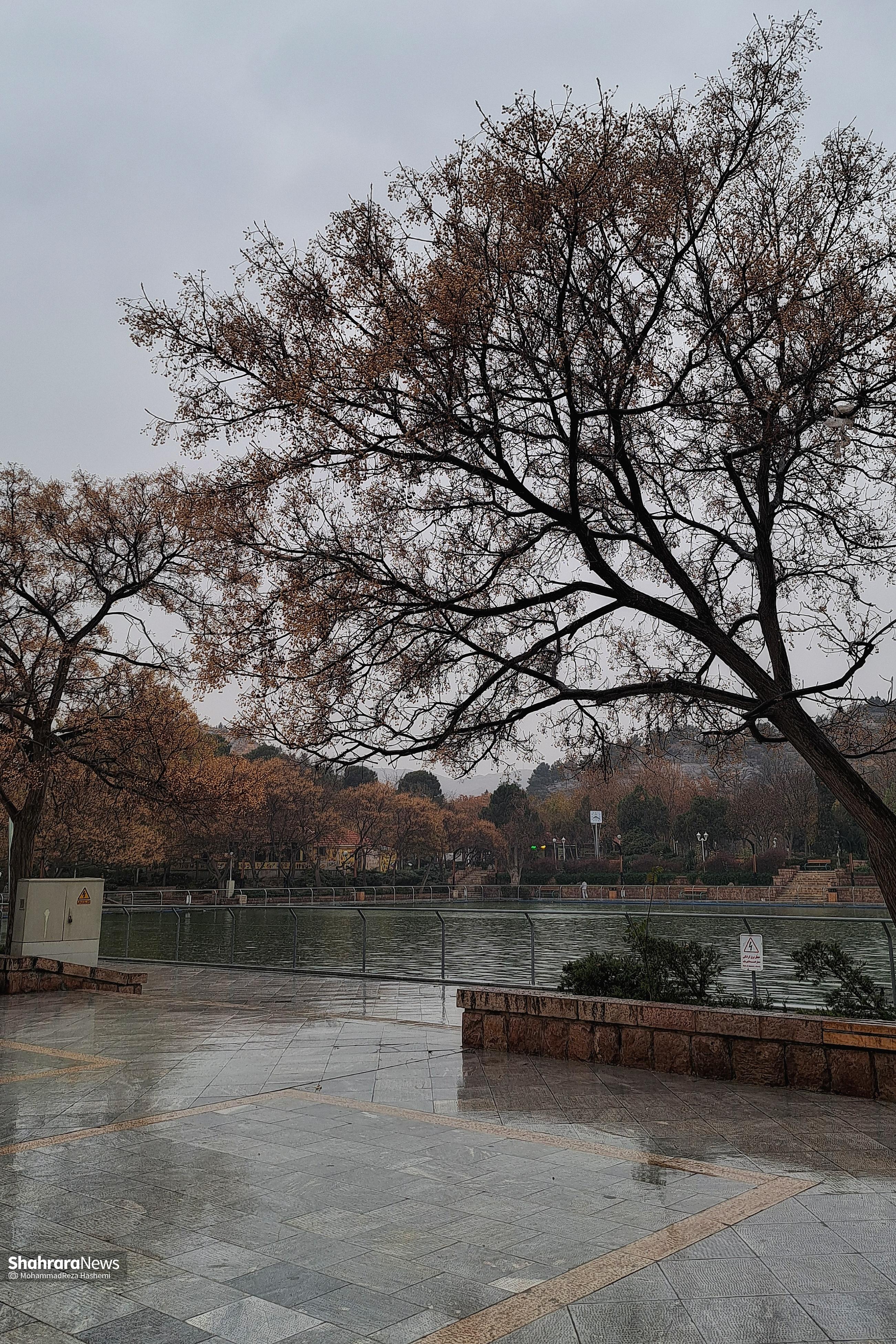 بارش باران در مشهد + عکس و فیلم (چهارشنبه - ۱۲ آذر ۱۴۰۴)