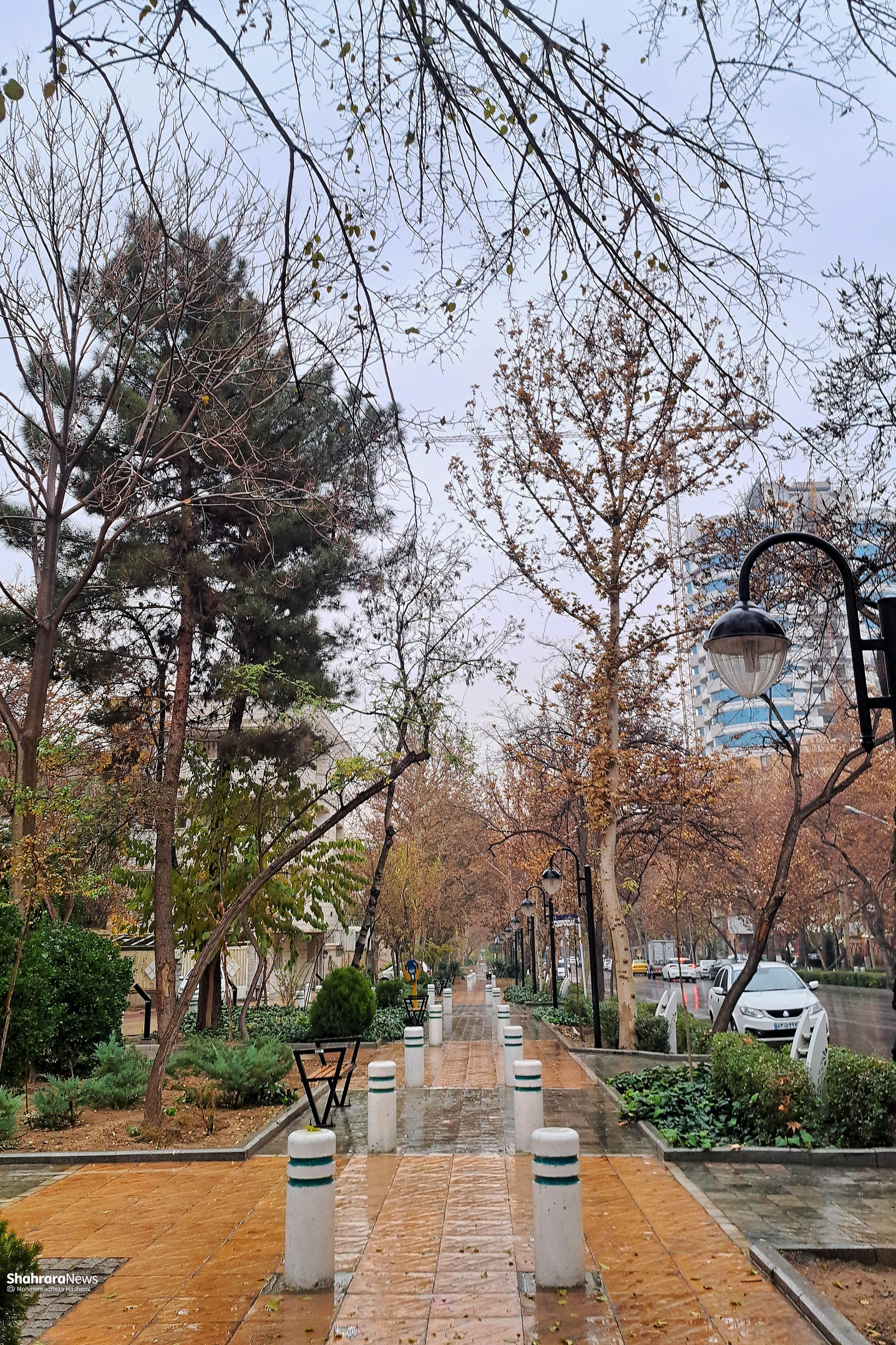 بارش باران در مشهد + عکس و فیلم (چهارشنبه - ۱۲ آذر ۱۴۰۴)