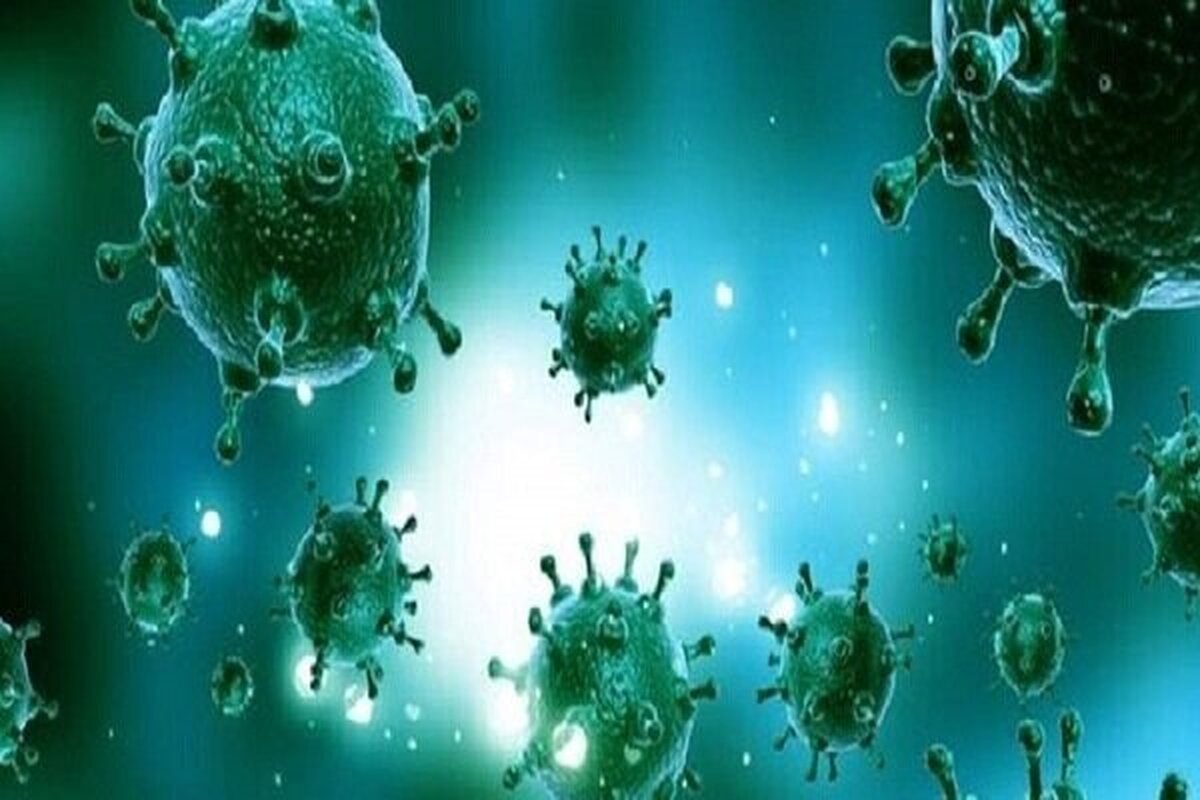 رئیس دانشگاه علوم پزشکی هرمزگان از ثبت اولین مرگ ناشی از آنفلوانزای H۳N۲ در موج انتقال تثبیت‌شده در هرمزگان خبر داد.