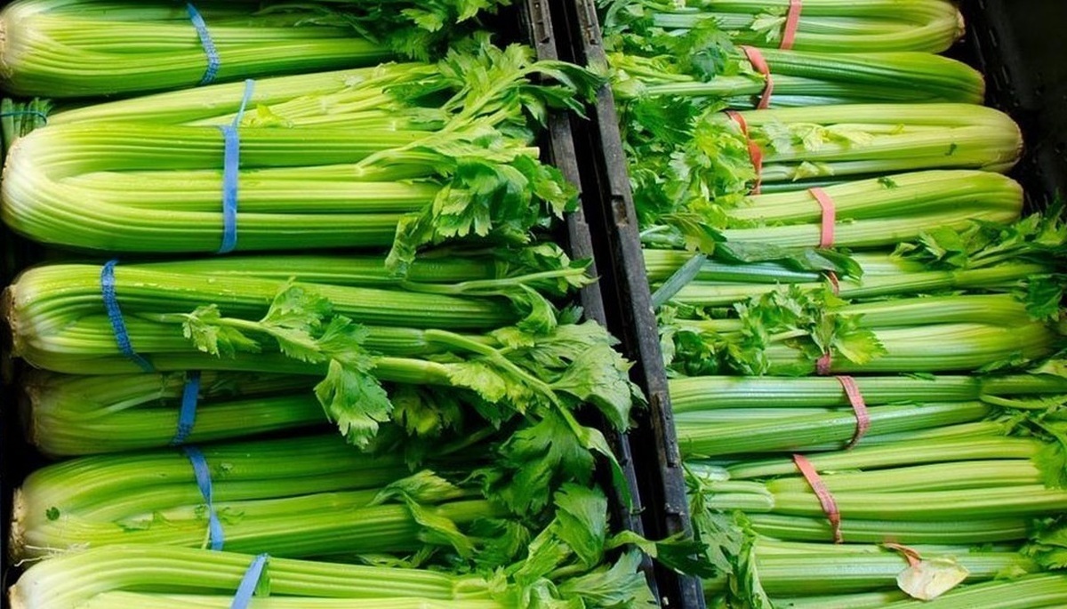 اتحادیه بارفروشان مشهد نرخ امروز انواع میوه و صیفی‌جات در میادین تره‌بار مشهد را اعلام کرد.