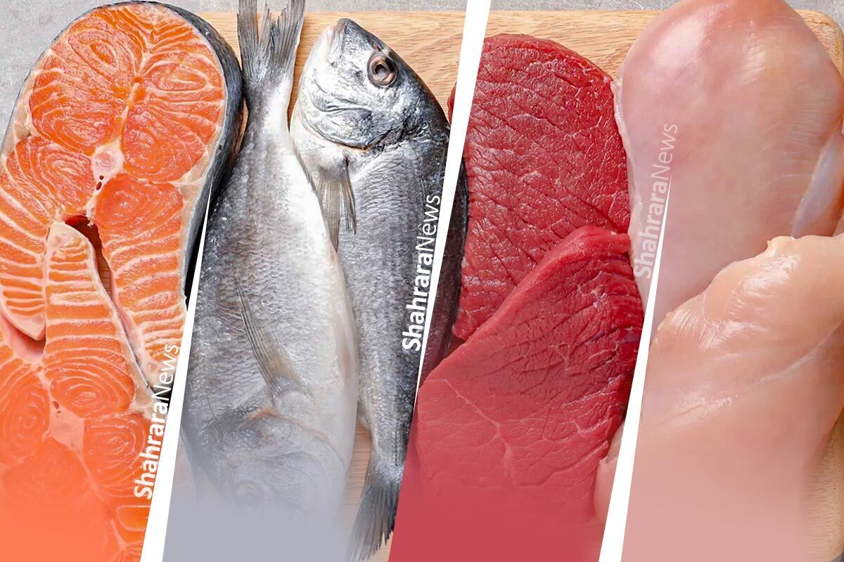 در این مطلب به بررسی قیمت روز مرغ، تخم مرغ، گوشت گوسفندی و گوساله و ماهی در بازار گوشت و مرغ مشهد می‌پردازیم.