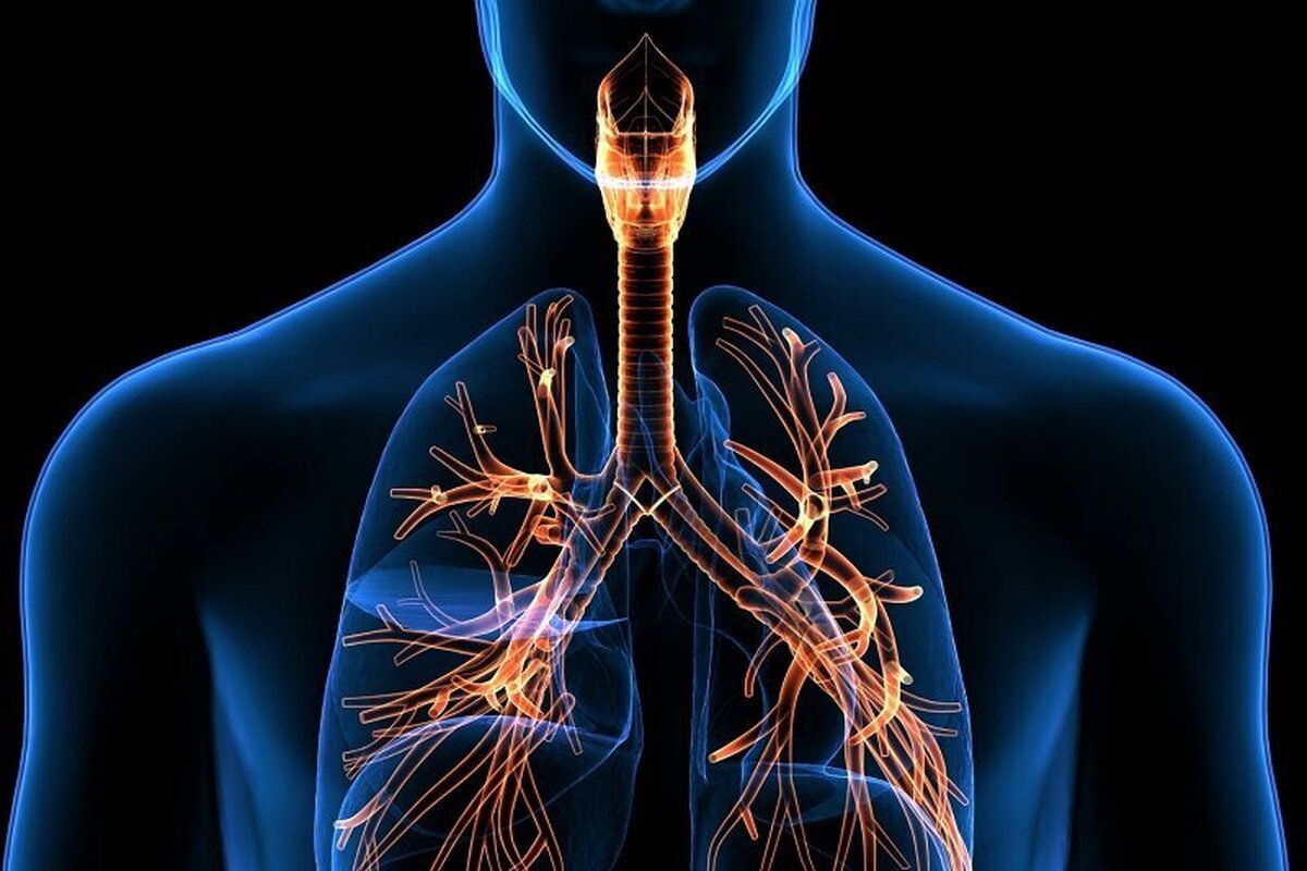 یک فوق‌تخصص ریه گفت: آلودگی هوا یکی از مهم‌ترین عوامل آسیب‌رسان به ریه است و می‌تواند در افراد سالم نیز مشکلات تنفسی ایجاد کند؛ این خطر برای سالمندان و بیماران قلبی چندین برابر بیشتر است.