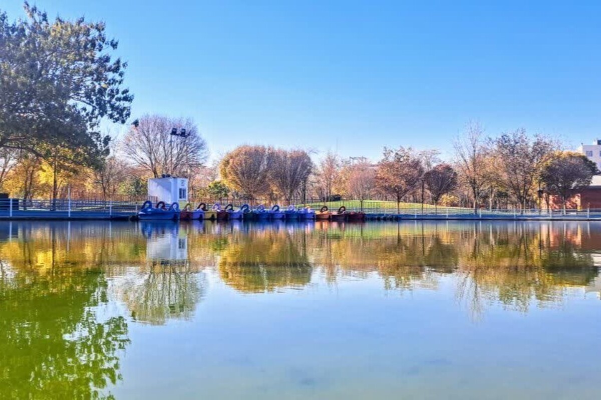 عکس ارسالی از : رفیع خانخواجه