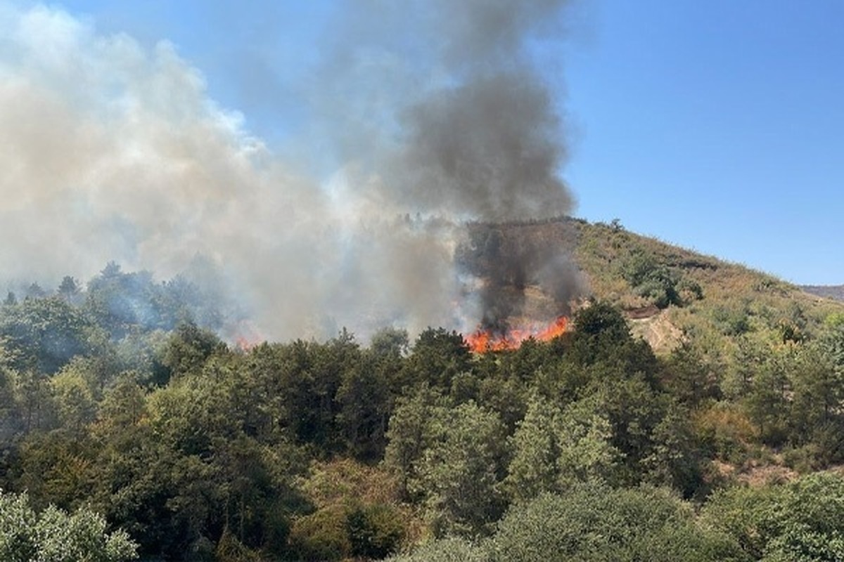 رئیس سازمان محیط زیست گفت: در جریان اطفای حریق جنگل‌های چالوس، زنان جوامع محلی در روستا‌های الیت و دلیر، نقش مهمی در کنترل و مهار آتش داشتند.
