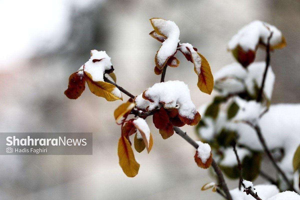 سازمان هواشناسی با صدور هشدار نارنجی از بارش باران و در مناطق سردسیر بارش برف و تگرگ از امروز (۱۶ آذر) تا چهارشنبه (۱۹ آذر) نسبت به آسیب‌های احتمالی به کشاورزان ۲۵ استان کشور خبر داد.