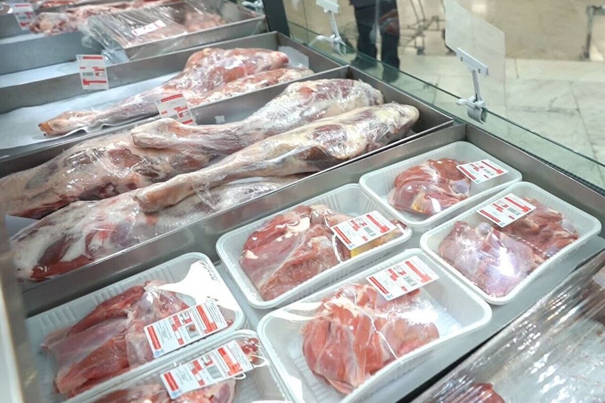 آغاز توزیع گوشت گرم وارداتی در خراسان رضوی (۱۷ آذر ۱۴۰۴) | گوشت گوساله پاکستانی در مشهد