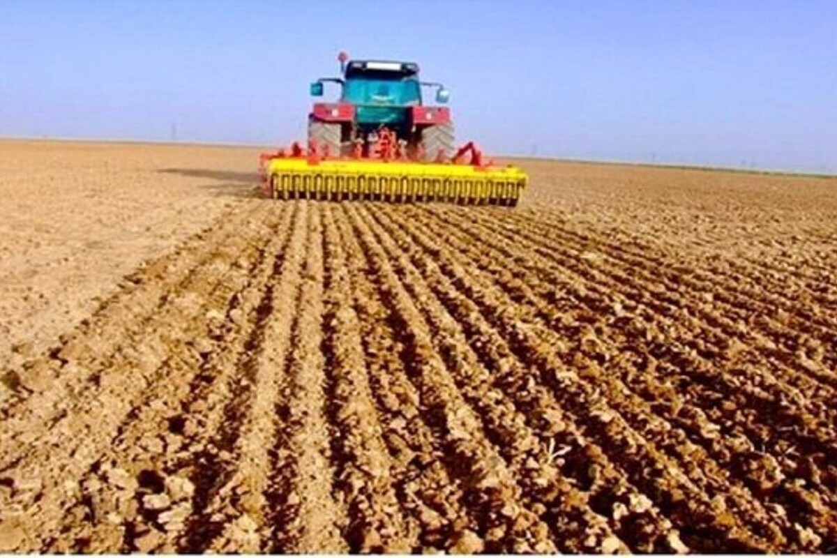 پیشرفت کشت‌های پاییزه در خراسان رضوی