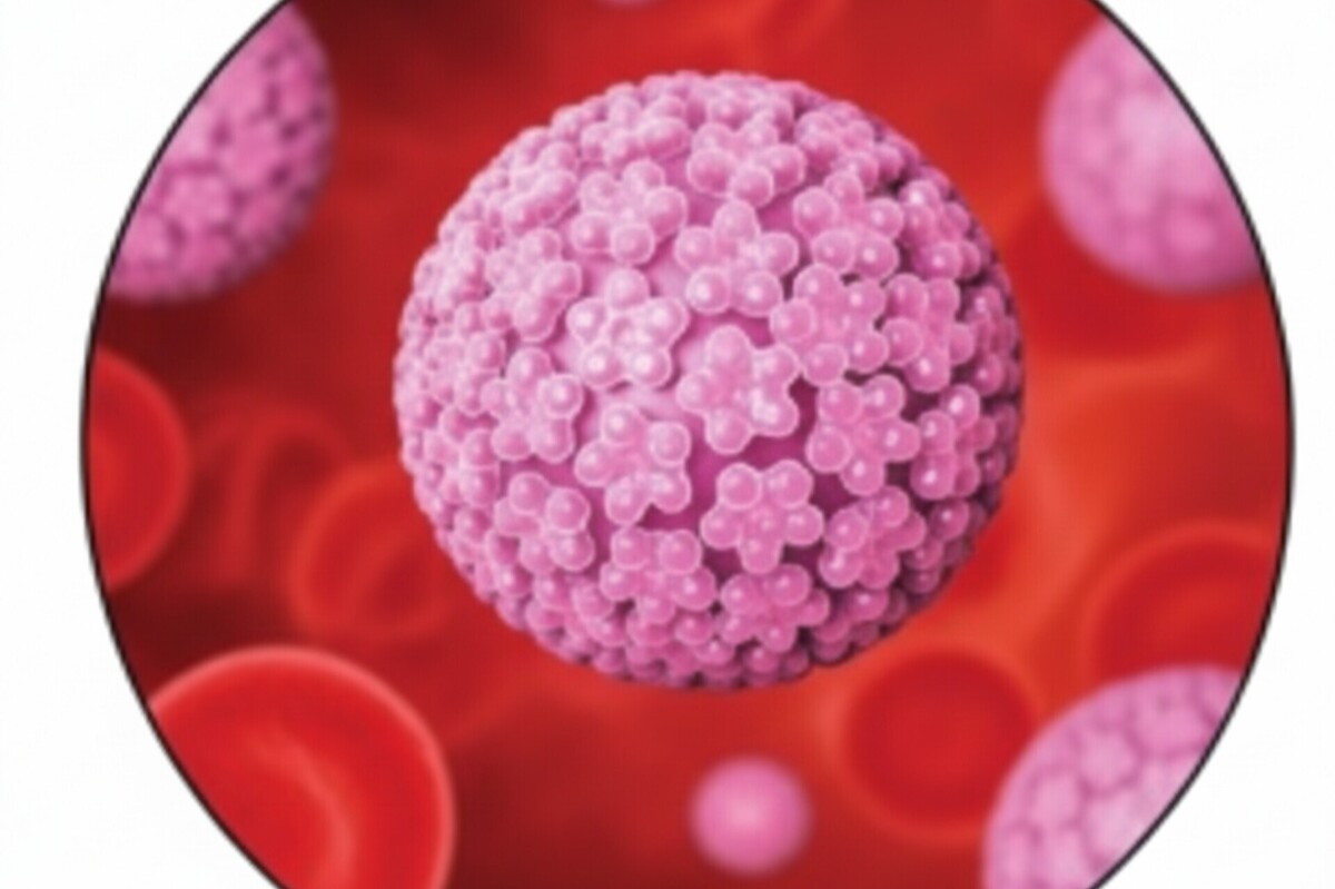 این روز‌ها نام «اچ‌پی‌وی» یا همان زگیل تناسلی بیش از همیشه در شبکه‌های اجتماعی شنیده می‌شود؛ اما پشت این موج شایعات، واقعیت‌هایی پنهان است که دانستنشان می‌تواند از نگرانی‌ها کم کند.